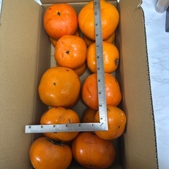 ①紀州てまり柿 約5kg 希少品種 かつらぎ町産の画像