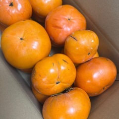 ①紀州てまり柿 約5kg 希少品種 かつらぎ町産の画像
