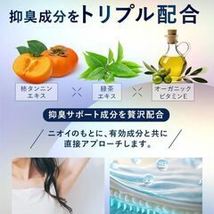 【防臭力×制汗力のWケア】ルビー デオドラントクリーム 無香料 99.9% 殺菌の画像