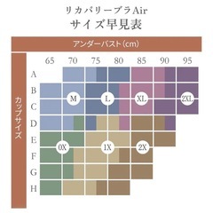 【未使用品】healogy リカバリーブラAir ブーケトープ　ナイトブラ　XLの画像
