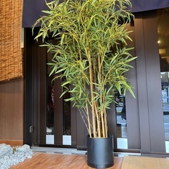 フェイクグリーンの画像