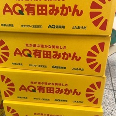 有田ミカン🍊3kg(M)の画像