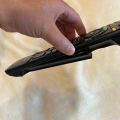 テレビ　Panasonic VIERA 2010年製の画像