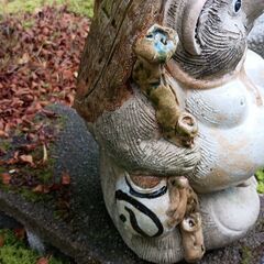 たぬきの置物の画像