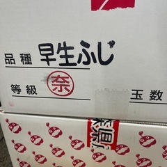 早生フジ🍎11玉の画像