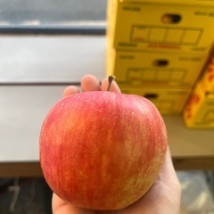 早生フジ🍎11玉の画像