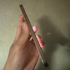 iphone 16promax 256GB SIMフリーの画像