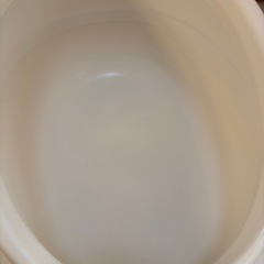 猫　トイレの画像