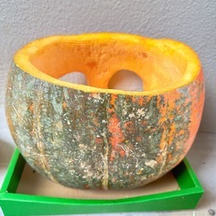 巨大カボチャ(本物)あげます🎃木曜日にしょぶんよて処分予定の画像