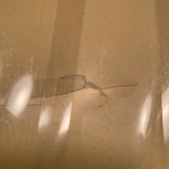 フロアライトの画像