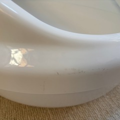 猫　トイレの画像