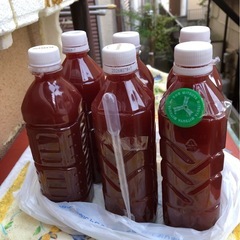 🅿️Ｓ🅱️最強液体バクテリア500ml×⒍本計3,000mlメダカ.全淡水魚に⒊ℓの画像