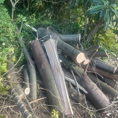 木　薪　広葉樹の画像