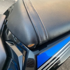 カワサキ ninja250 ニンジャ EX250L バイクの画像