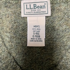 🦺L L.Beanの画像