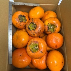 ②紀州てまり柿 約8kg 希少品種 かつらぎ
町産の画像