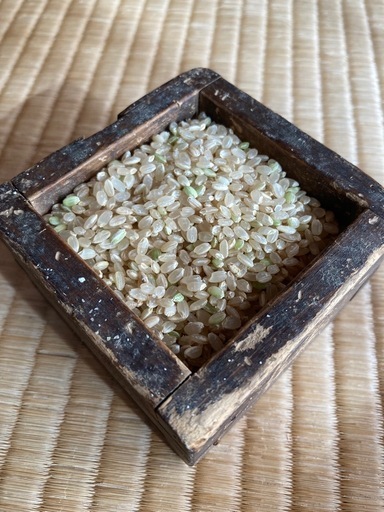 残りわずか！新米コシヒカリ　お米