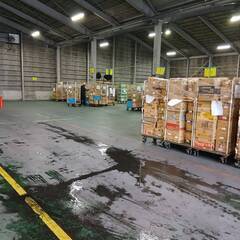 コンビニ商品の仕分け作業の画像