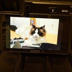 ミラーレスいちがん一眼レフα6400 ダブルズームレンズの画像