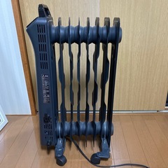 ２０１９年式ですの画像