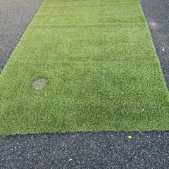 高級人工芝　使用年数1年　綺麗　大きめの画像