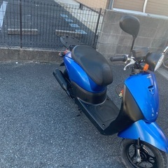 ホンダaf67 の画像