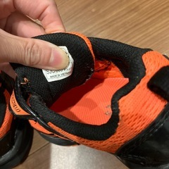 瞬足16センチの画像