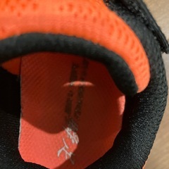 瞬足16センチの画像