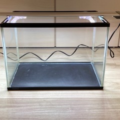 メダカ、金魚に最適水槽、水槽用照明の画像