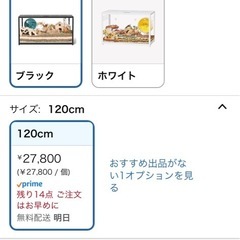 大型ゲージの画像