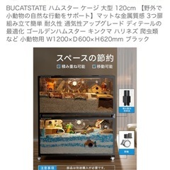 大型ゲージの画像