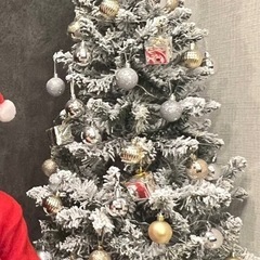 クリスマスツリーの画像