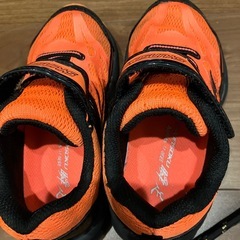 瞬足17センチ
の画像