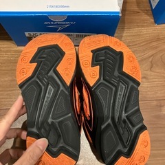 瞬足17センチ
の画像