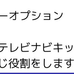 30系アルファード・ヴェ類ファイア用テレビキット
の画像