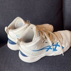 バッシュの画像