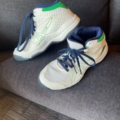 バッシュの画像