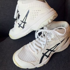 バッシュの画像