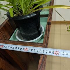 花台　パーテーションの画像