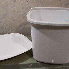 ダイソーの容器(下部穴開き)　野菜栽培に使用の画像