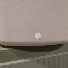 ダイソーの容器(下部穴開き)　野菜栽培に使用の画像