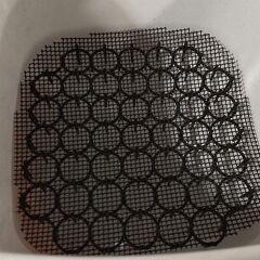 ダイソーの容器(下部穴開き)　野菜栽培に使用の画像