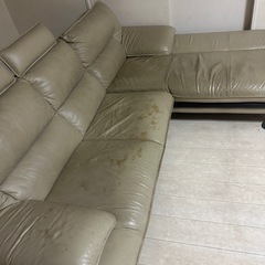 ソファー
の画像