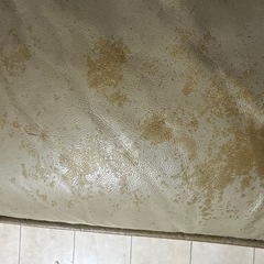 ソファー
の画像