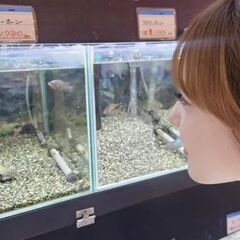 「ペットショップワンラブ」カインズABLOうるま店　小動物・アクアスタッフ募集中の画像