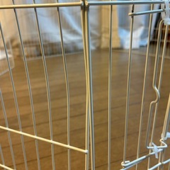 うさぎサークルの画像