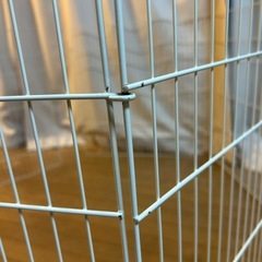 うさぎサークルの画像