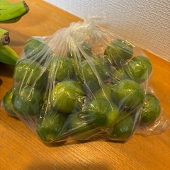 島バナナとシークワーサーの画像