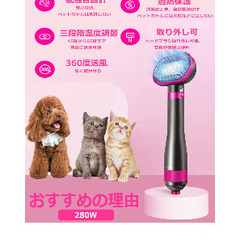 犬のドライヤーくしの画像