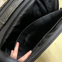 55)【無料　SRIXON ミニキャリーバッグ　】の画像